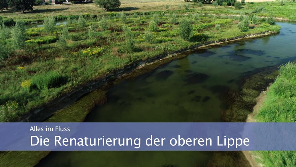 Bild zeigt den Fluss Lippe mit viel grüner Natur