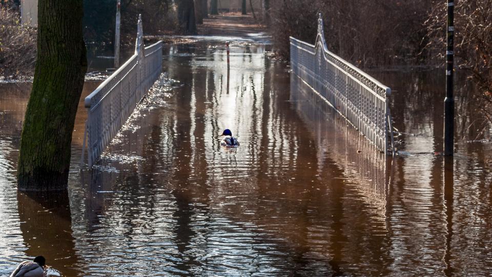 Hochwasser der Weser über eine Fußgängerbrücke