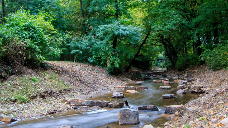 Bild: Die Bastau - ein westlicher Nebenfluss der Weser