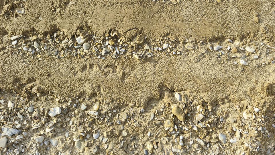 Bodenschichten aus Sand, Lehm, Ton und Kies zeigen an, dass der Fluss das Gelände in der Vergangenheit ständig umgestaltet hatte.