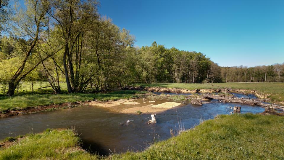 Bild zeigt die Alme bei Ringelstein