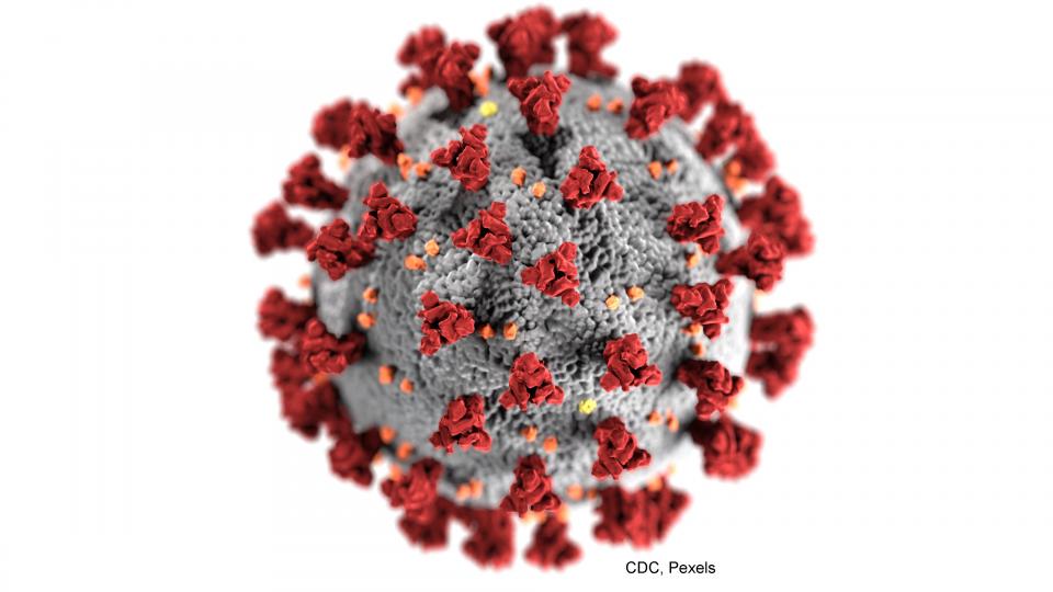 Coronavirus, Foto: CDC, Pexels