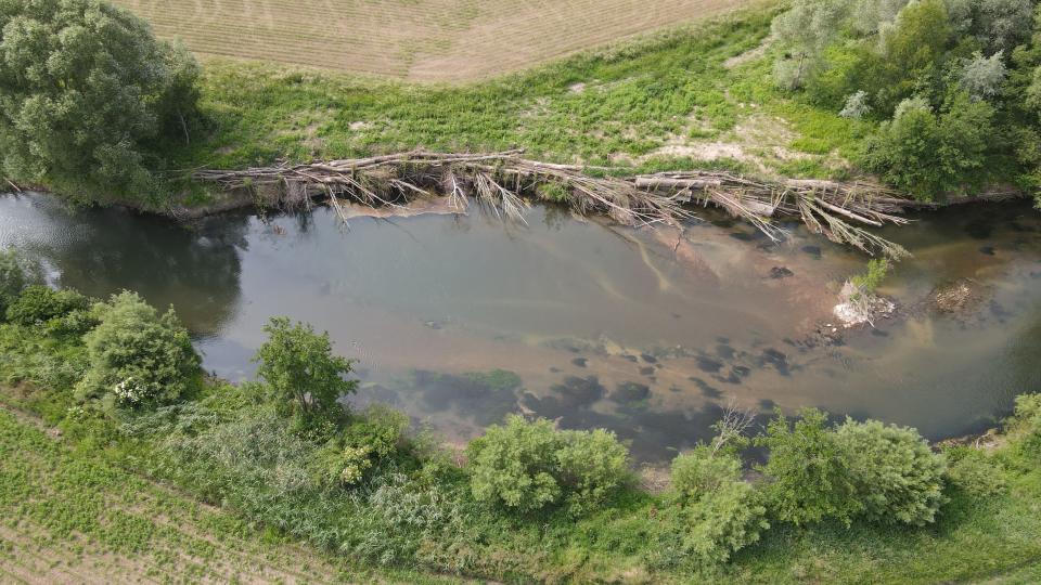 Das neu abgesicherte Ufer mit Pappelstämmen von oben