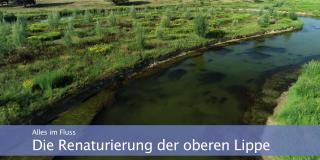 Bild zeigt den Fluss Lippe mit viel grüner Natur