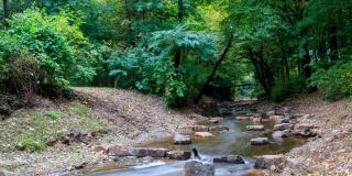 Bild: Die Bastau - ein westlicher Nebenfluss der Weser