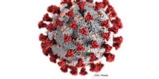 Coronavirus, Foto: CDC, Pexels