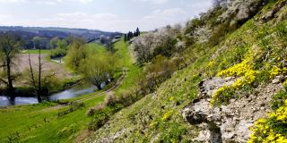 Kalkmagerrasen im Diemeltal
